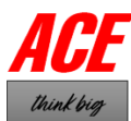 Ace Consultancy LLC